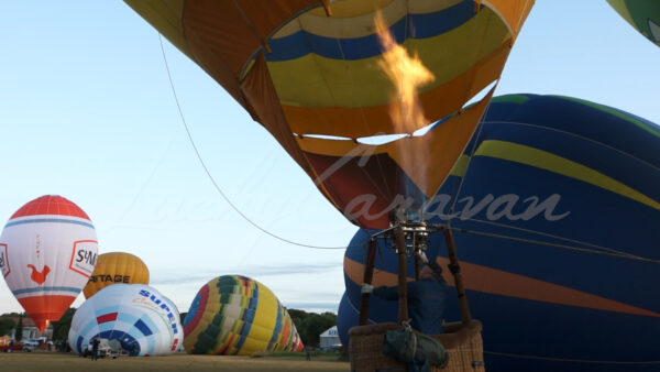 Hot air balloon gathering, southern France