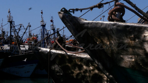 Ship bows with silver reflections in a fishing port in Dakhla, Morocco