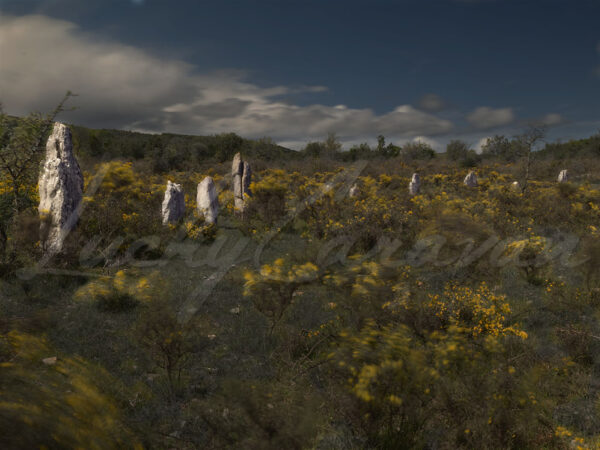 The cromlech of Peyrarines on the Causse de Blandas in the Gard, France. The Causse de Blandas shelters more than 80 megalithic monuments, mainly dolmens, menhirs and cromlechs.