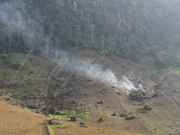 Deforestation in western Vietnam