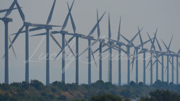 Wind turbines seen through intense heat waves