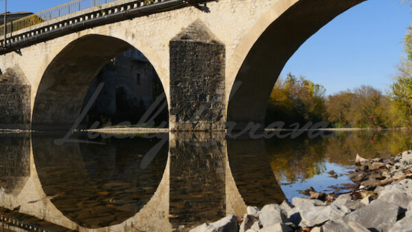 Bridge, symmetry and water spider