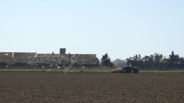 Tractor plowing a field