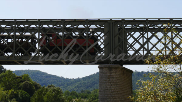 The Cévennes steam train between Anduze and Saint Jean du Gard, southern France