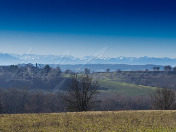 Cultivated fields in front of the Pyrenees mountains, southern France