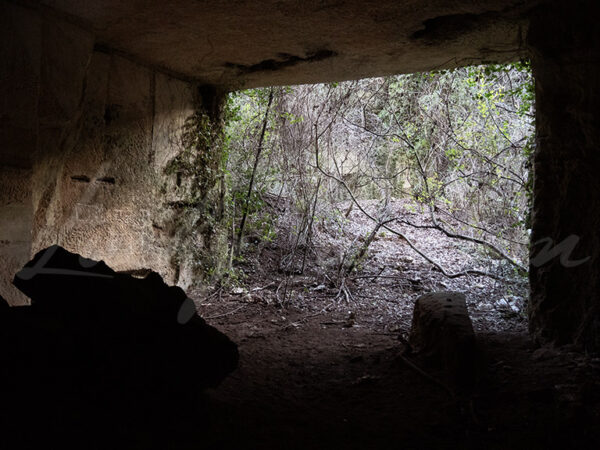Abandoned quarry in the forest.