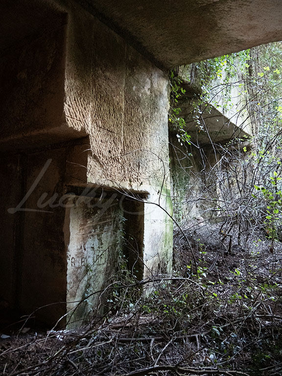 Abandoned quarry in the forest.