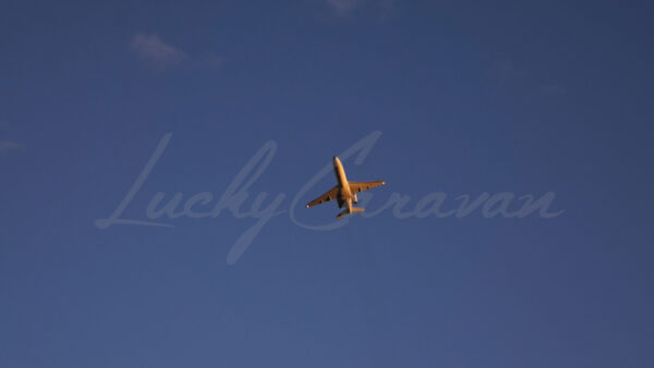 Airplane taking off above vineyard