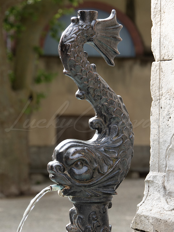 Water flowing out of a bronze sea creature in a village fountain.