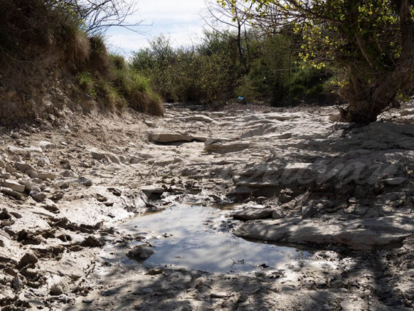 Dry river bed in a period of drought