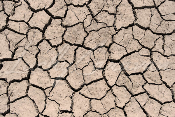 Cracked earth in a period of drought