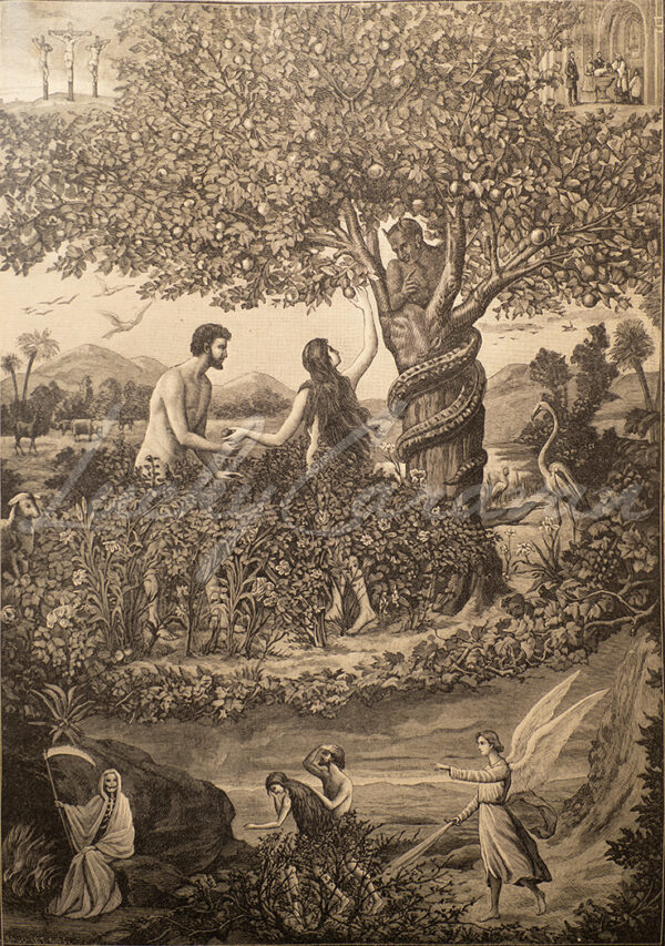 Original Sin