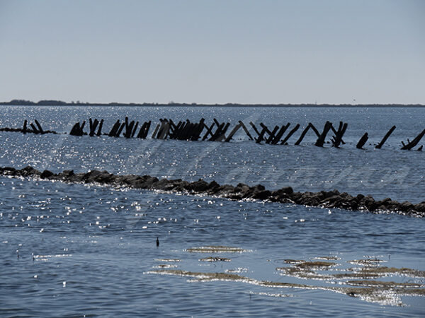 Wooden structures in an abandoned salt evaporation pond, Villeneuve, Occitania, France