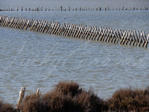Wooden structures in an abandoned salt evaporation pond, Villeneuve, Occitania, France
