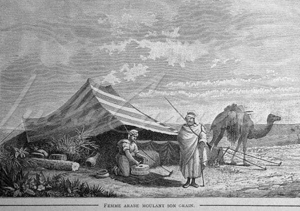 Scene of nomadic life in the desert, mid-19th century