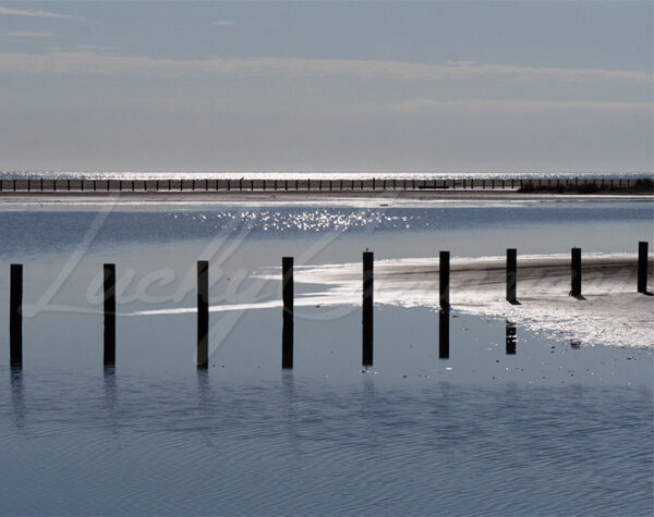 Alignment of stakes on a Mediterranean beach.