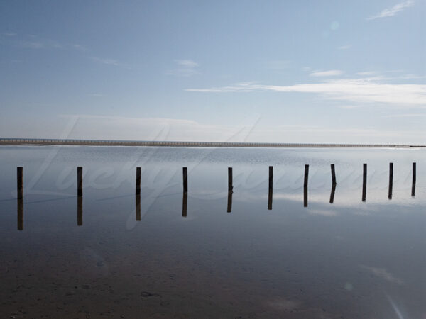 Alignment of stakes on a Mediterranean beach.