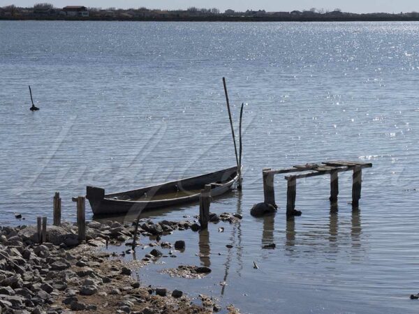Pontoon and sunken boat.