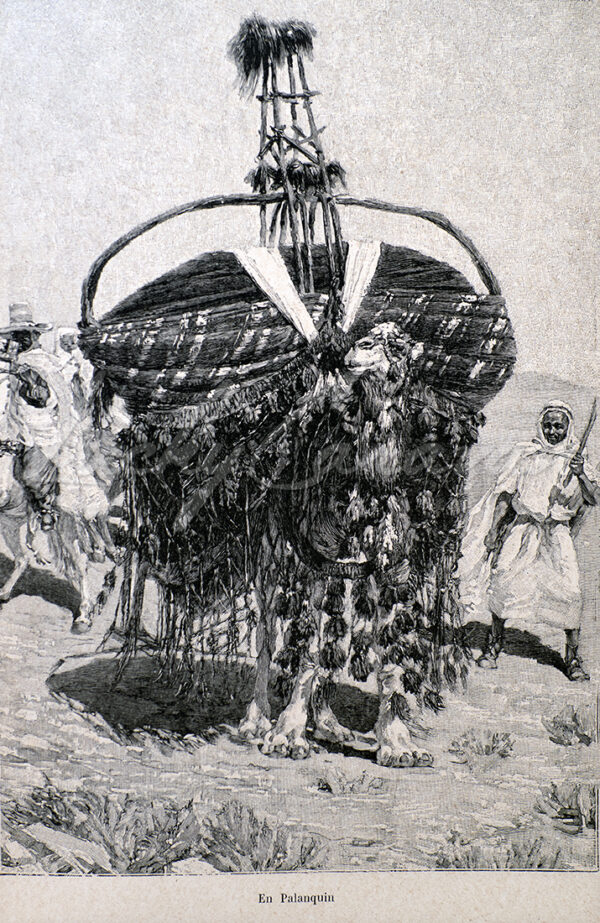 a palanquin in Kabylie, late 19th century