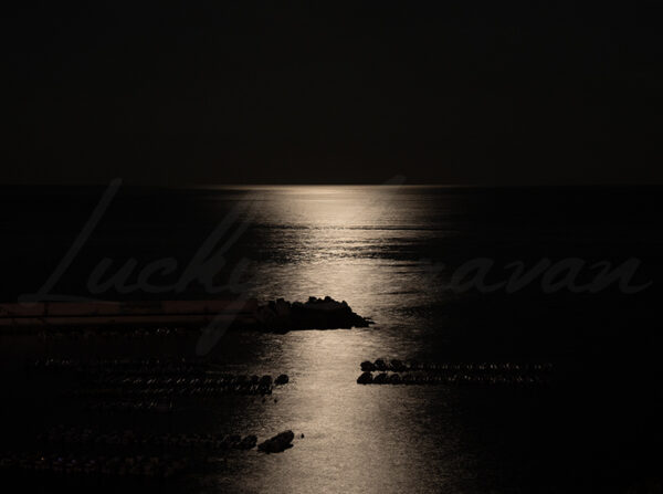 Small Port in the golden moonlight.