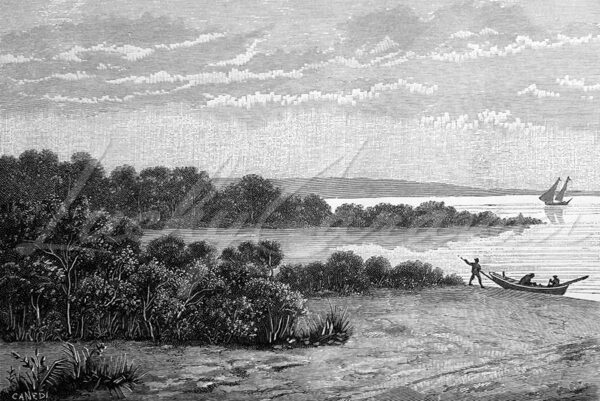 Confluence of the Maroni and Mana rivers. French Guiana, circa 1880.