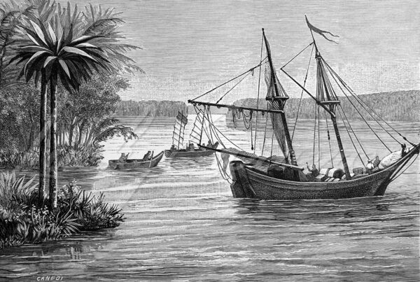 View of the river at Sparwin, French Guiana, circa 1880.