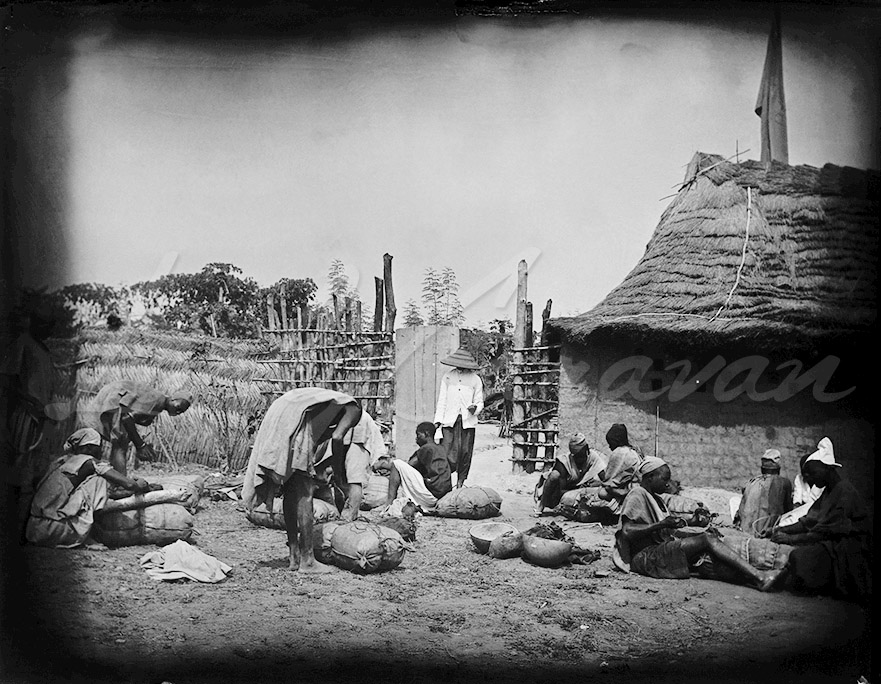 Villagers carrying out packing tasks in the Guinean bush around 1900.