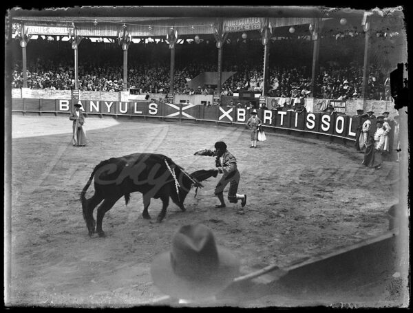 Killing of the bull in an arena of southern France, early 20th century.