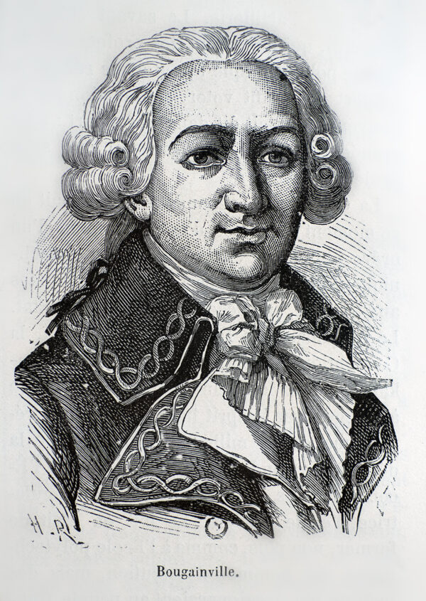 Portrait of Bougainville