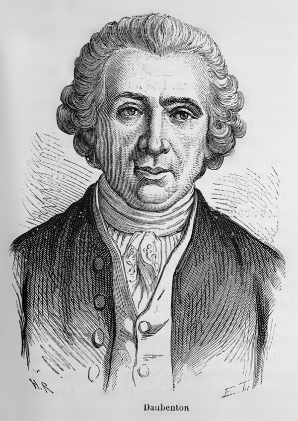 Portrait of Daubenton