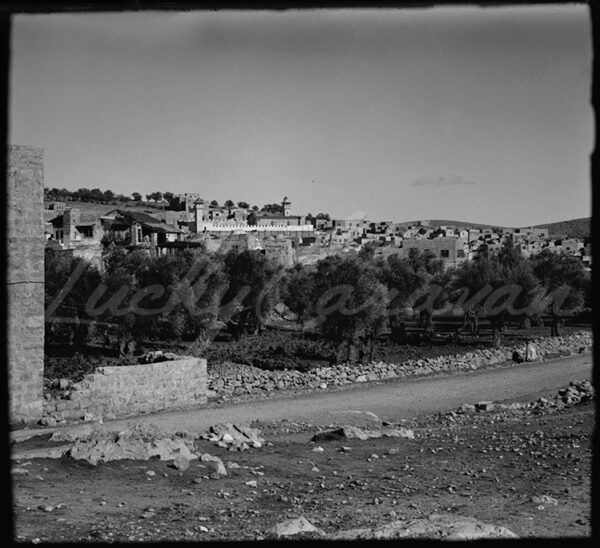 Palestine. View of the Old City of Hebron/Al Khalil in the West Bank, in the early 20th century. In the center, the Tomb of the Patriarchs/Ibrahami Mosque.