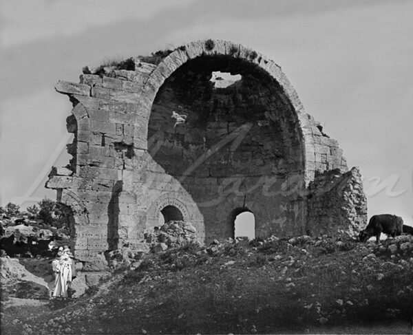 Mandatory Palestine. Livestock and White Fathers among the ruins of the Byzantine church of St. Anne and it’s spectacular apse in Bayt Jibrin (Beit Jibrin), 1920s.
